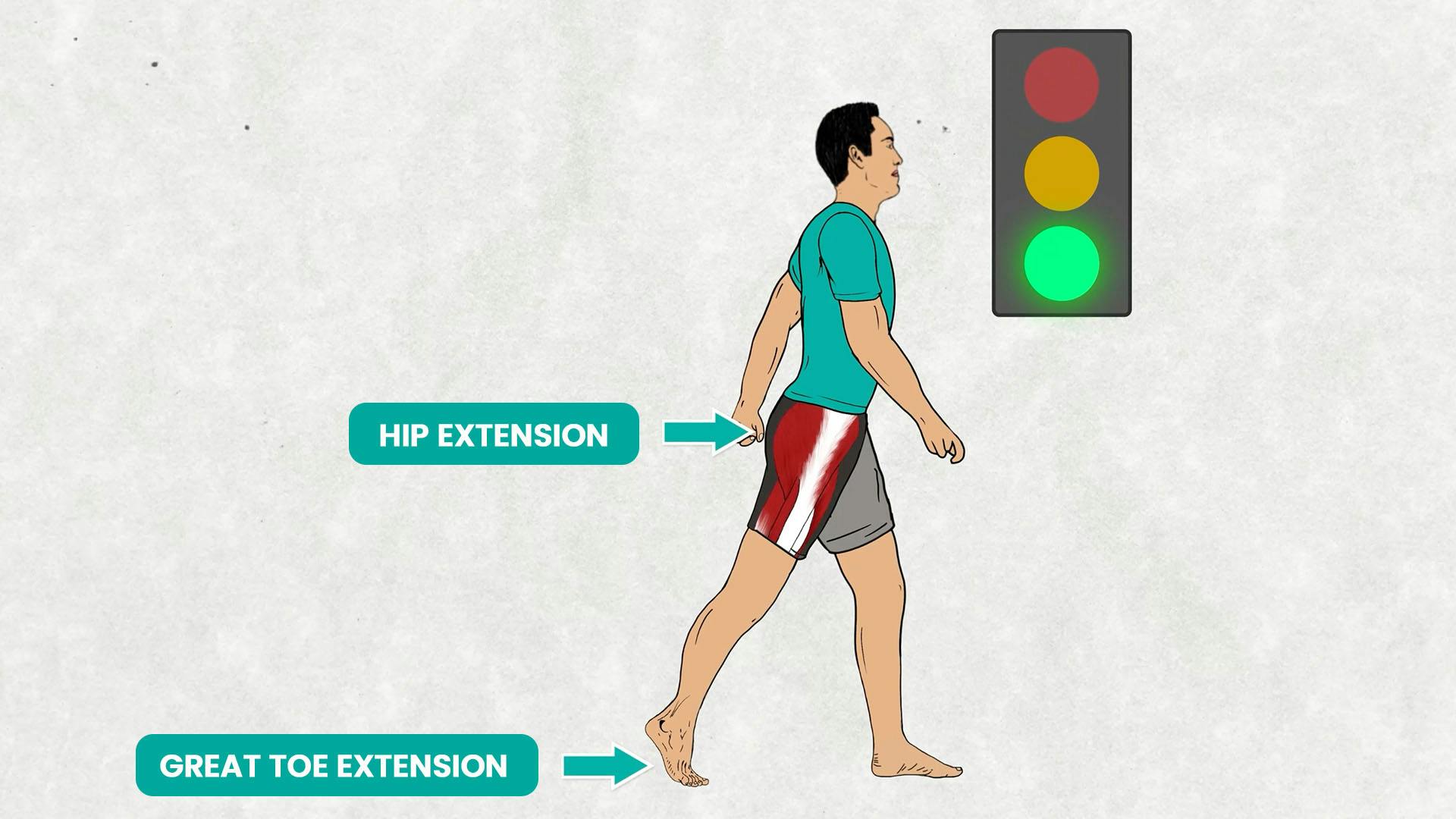 Great Toe Extension Increases Hip Extension