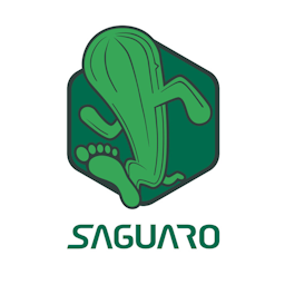 Saguaro: Budget Kings